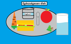 Sztazi-Taplalkozas