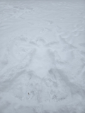 20260107_082958