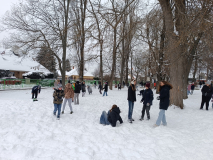 IMG_20260107_105237
