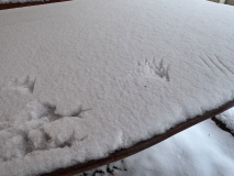IMG_0813_eredmeny