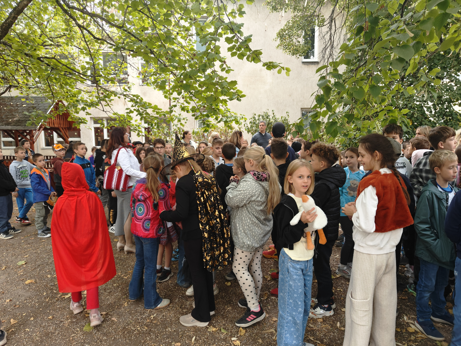 IMG20261008095938