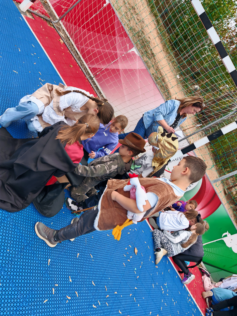 IMG_20261008_103849