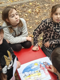 IMG20261008101617