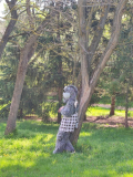 IMG_20220426_095458