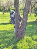 IMG_20220426_095515