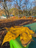 IMG_20251105_082558