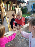 IMG_20221015_094812
