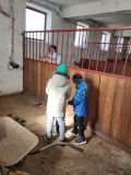 IMG_20260224_112812
