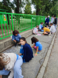 IMG_20260611_133951